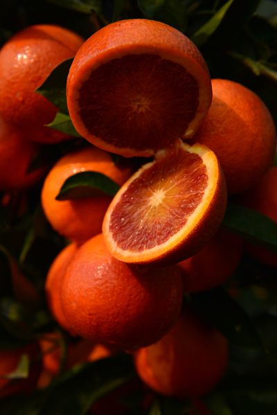 Rose-scented oranges popular for Valentine's Day