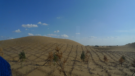 邓京荆：库布齐沙漠印象 变不毛之地为大漠绿洲