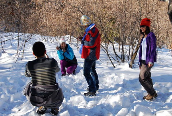 中外游客黄山之巅元旦欢乐游