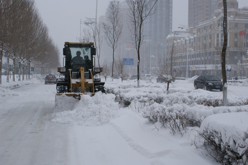 哈尔滨突遇40年罕见大雪