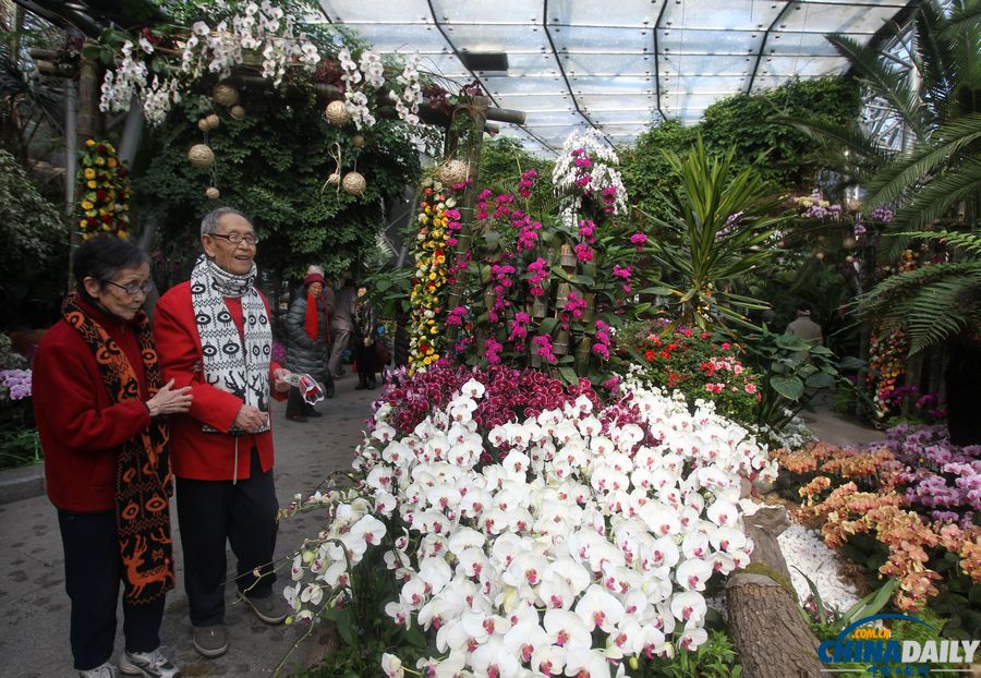 北京植物园邀金婚老人过情人节 甜蜜“晒证”