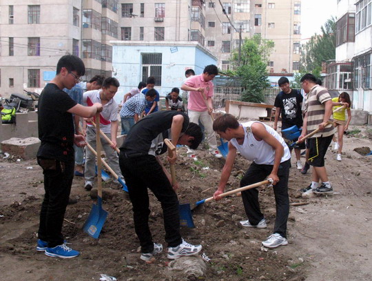 齐齐哈尔高校学生进社区 志愿服务暖人心