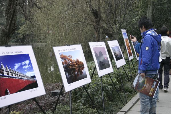 成都第八届海棠花会掠影