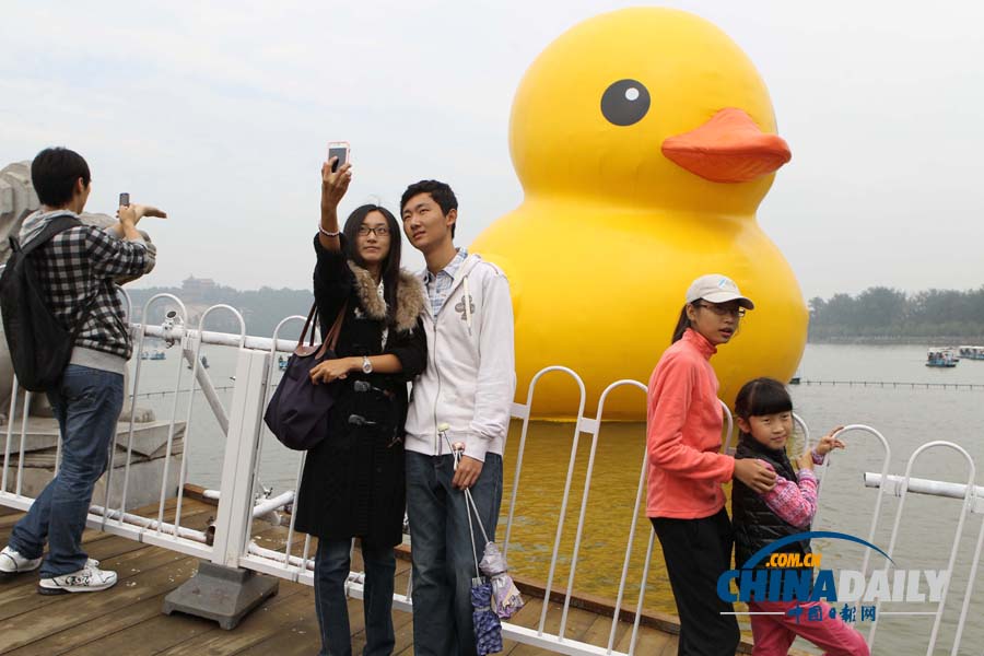 数万名中外游客冒雨进颐和园看“大黄鸭”