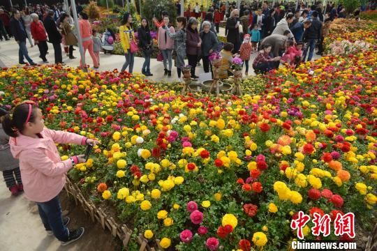 山西民众踏青扎堆 花卉生态园日接游客上万