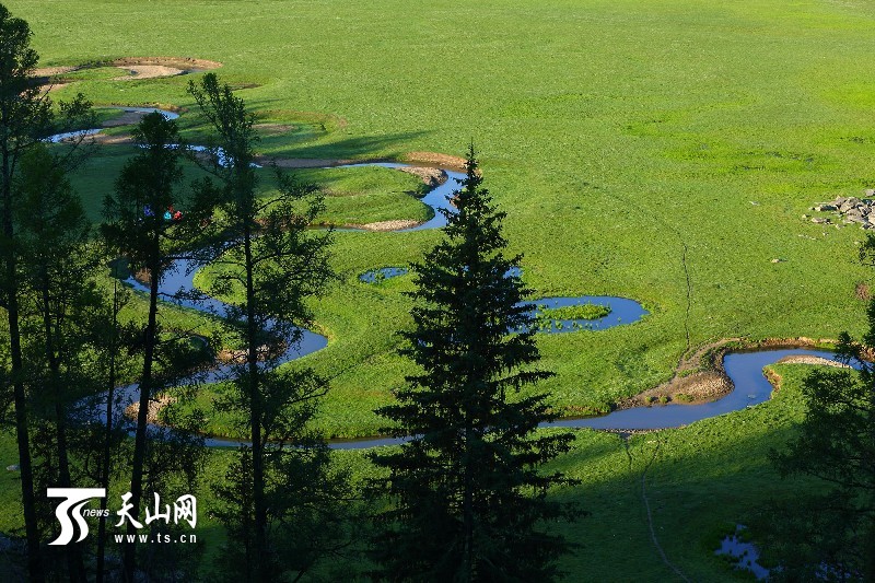 新疆哈巴河县齐巴尔乡夏牧场风景如画