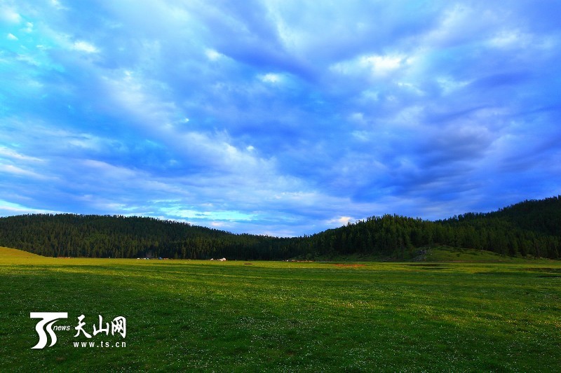 新疆哈巴河县齐巴尔乡夏牧场风景如画