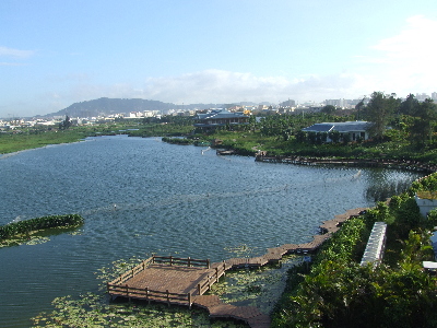 海峡音乐节游玩攻略