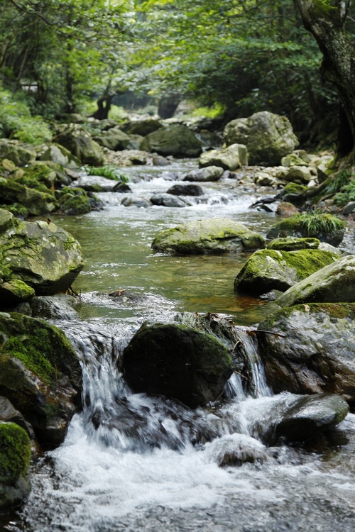 秋光里，穿越在黄山最原始的峡谷中“寻古探幽”