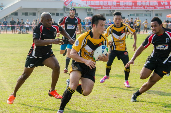 Tigers lose to Rams in home rugby union debut