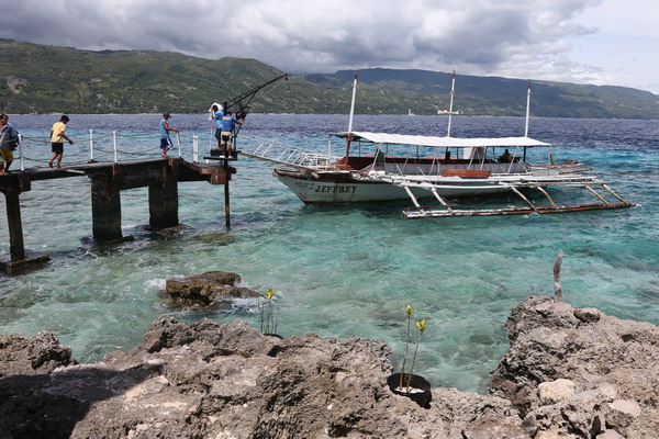 Sumilon, an island for intimate contact with whale sharks