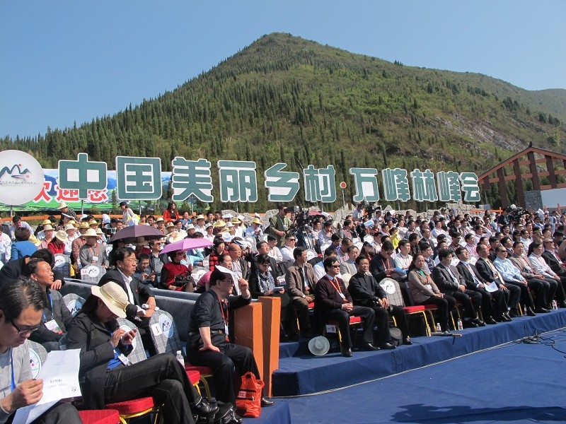 Experts give advice on China's beautiful villages