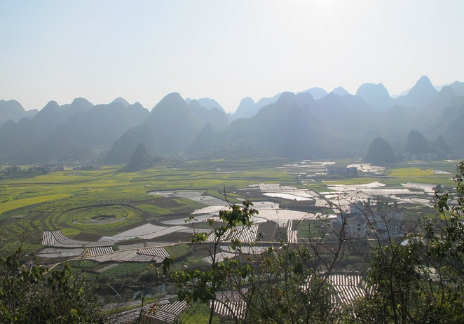 Wanfeng Forest