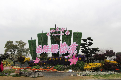 Spring opens Wuxi flowers and scenic spot gates in 2017 cherry blooms festival