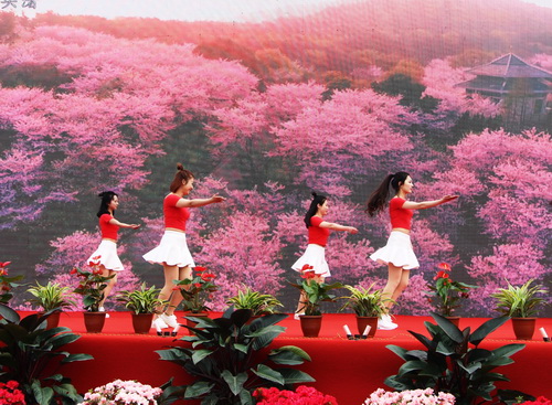 Spring opens Wuxi flowers and scenic spot gates in 2017 cherry blooms festival