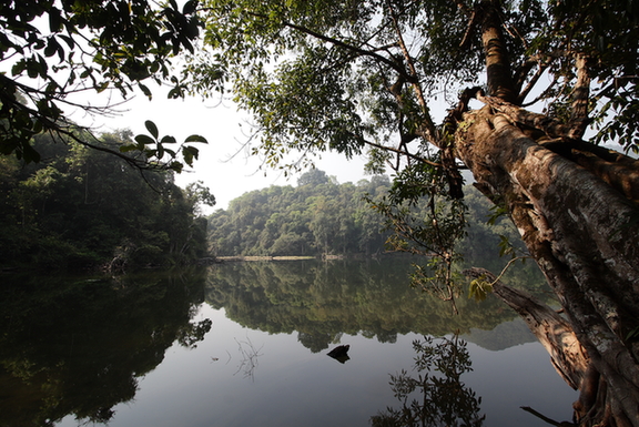 Ximeng Va Ecotourism Area