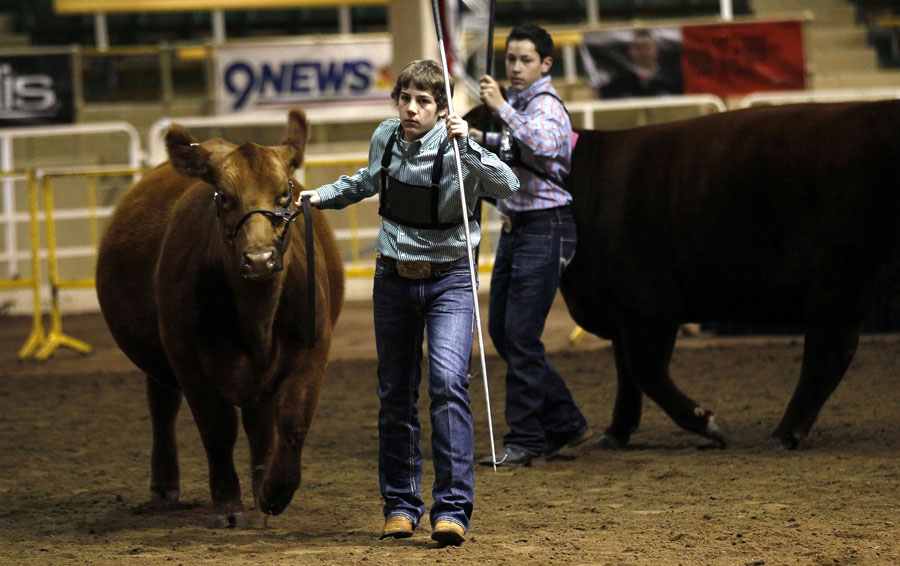 Young riders reign at US stock show