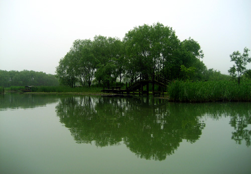 Xixi Wetland in Hangzhou