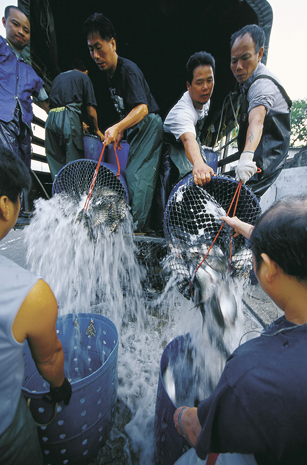 Life in Macao