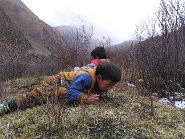 Tibetan children enjoy 'golden worm' holiday