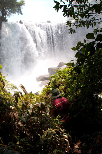 Into the heart of Brazil