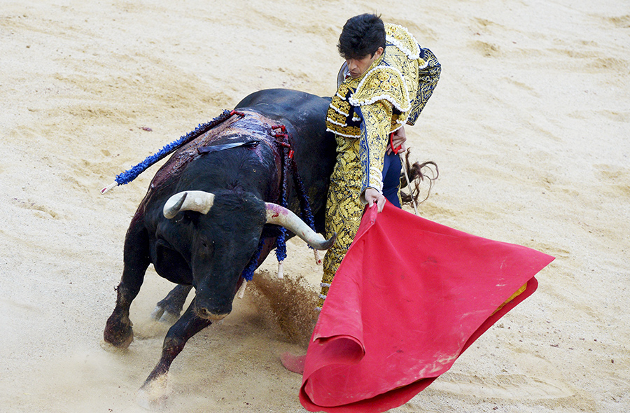 Spain's San Fermin bull-running festival begins