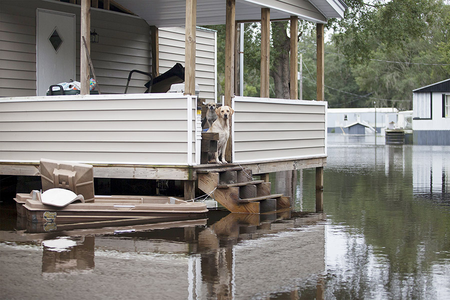 Fifteen dead as South Carolina gripped by historic flooding