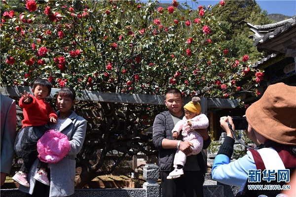 Lijiang celebrates traditional Sanduo Festival