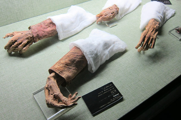 Wizard mummies: 'high' society