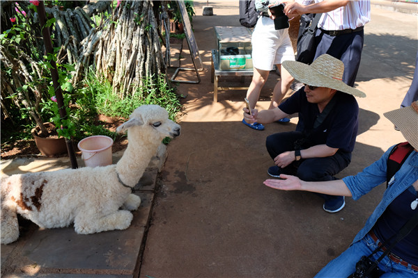 Hainan's kingdom of animals and tropical plants