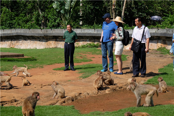 Hainan's kingdom of animals and tropical plants